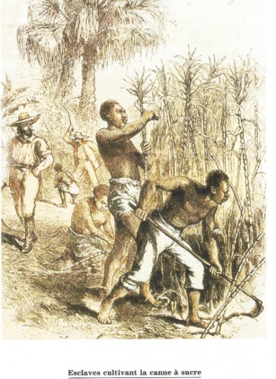 Pour en savoir plus (1) Le peuplement de l'île Pour en savoir plus (1) Le peuplement de l'île