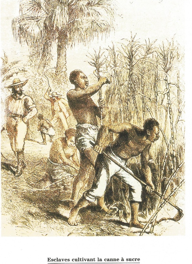 Pour en savoir plus (1) Le peuplement de l'île