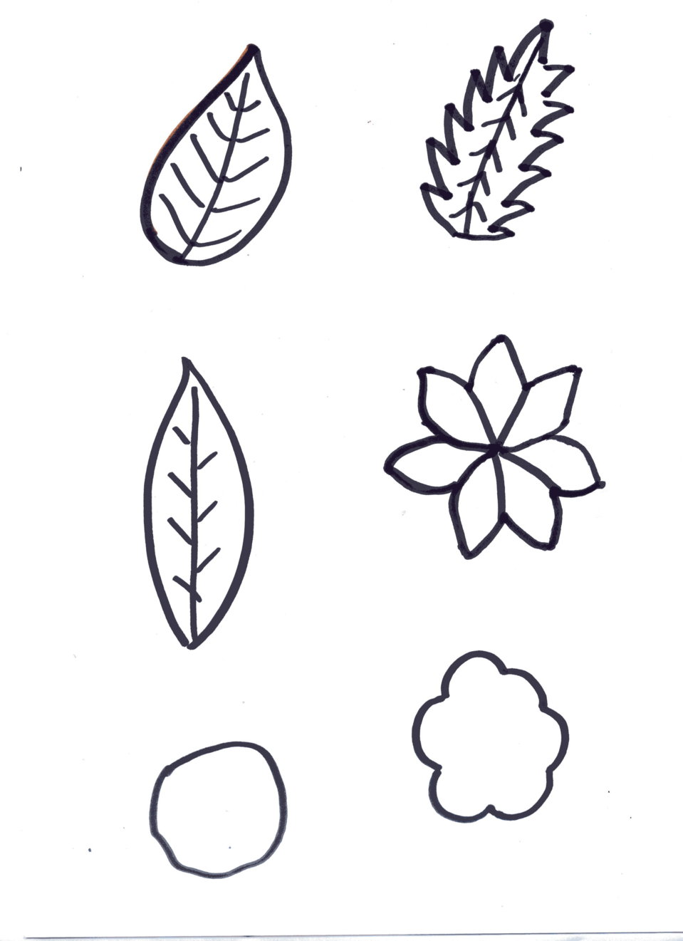 Atelier : dessiner un arbre