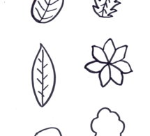 Atelier : dessiner un arbre